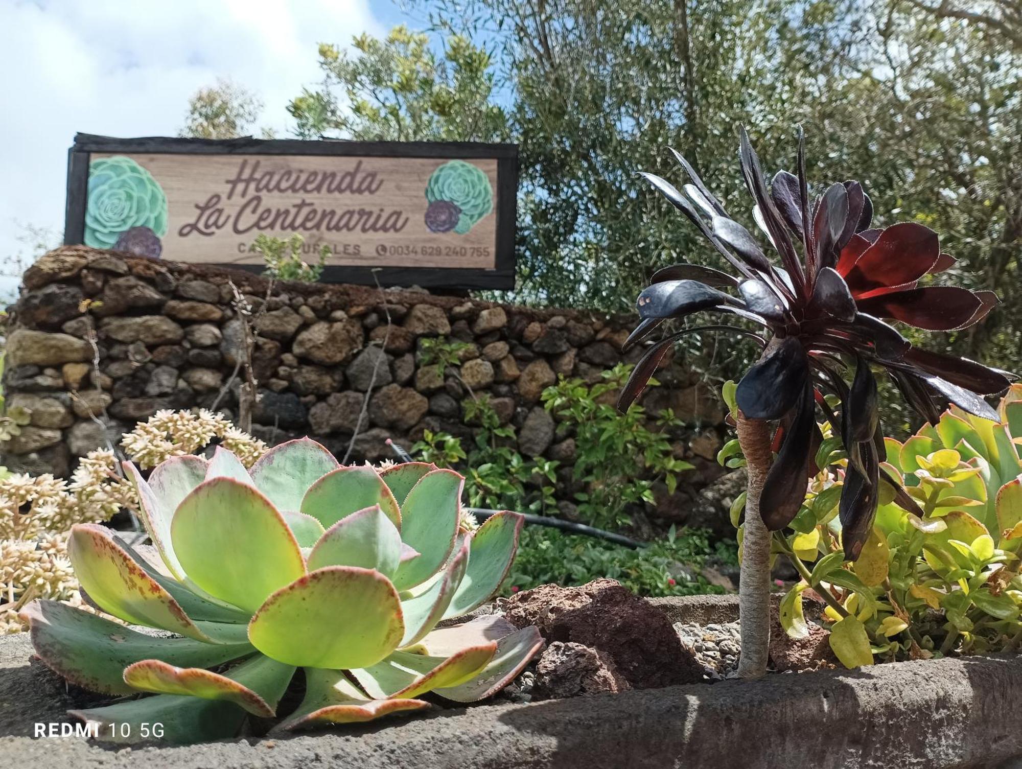 Hacienda La Centenaria,casas Rurales Holiday home